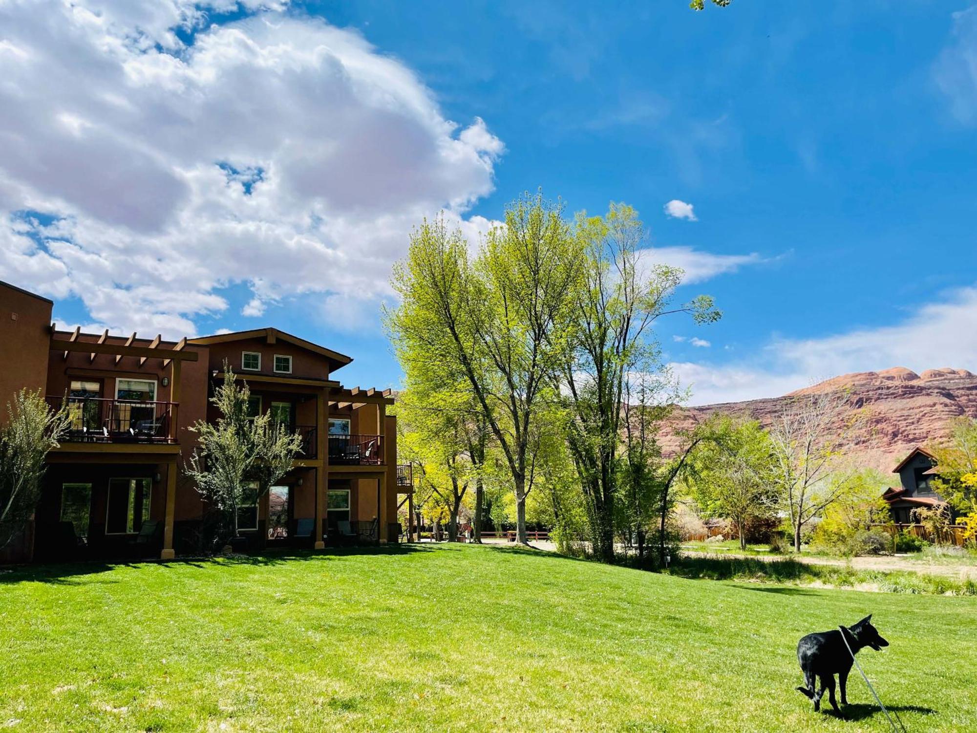 The Gonzo Inn Moab Dış mekan fotoğraf